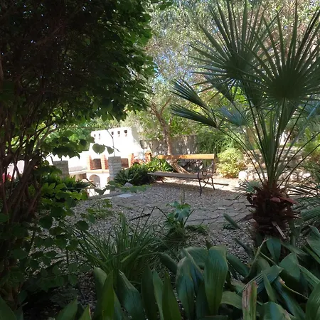Apartament Daniela