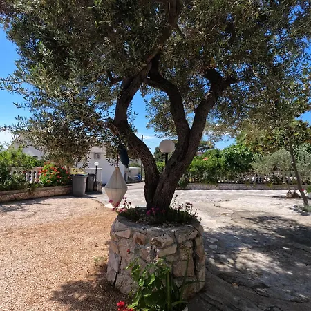 Apartamento Daniela Rab Town