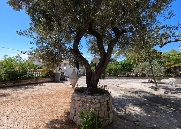 Apartment Daniela Rab Town